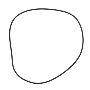 ZF O-RING(0634 313 999)